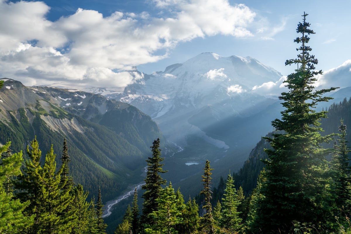 Snow-capped mountain rising above evergreen forest on a clear winter day