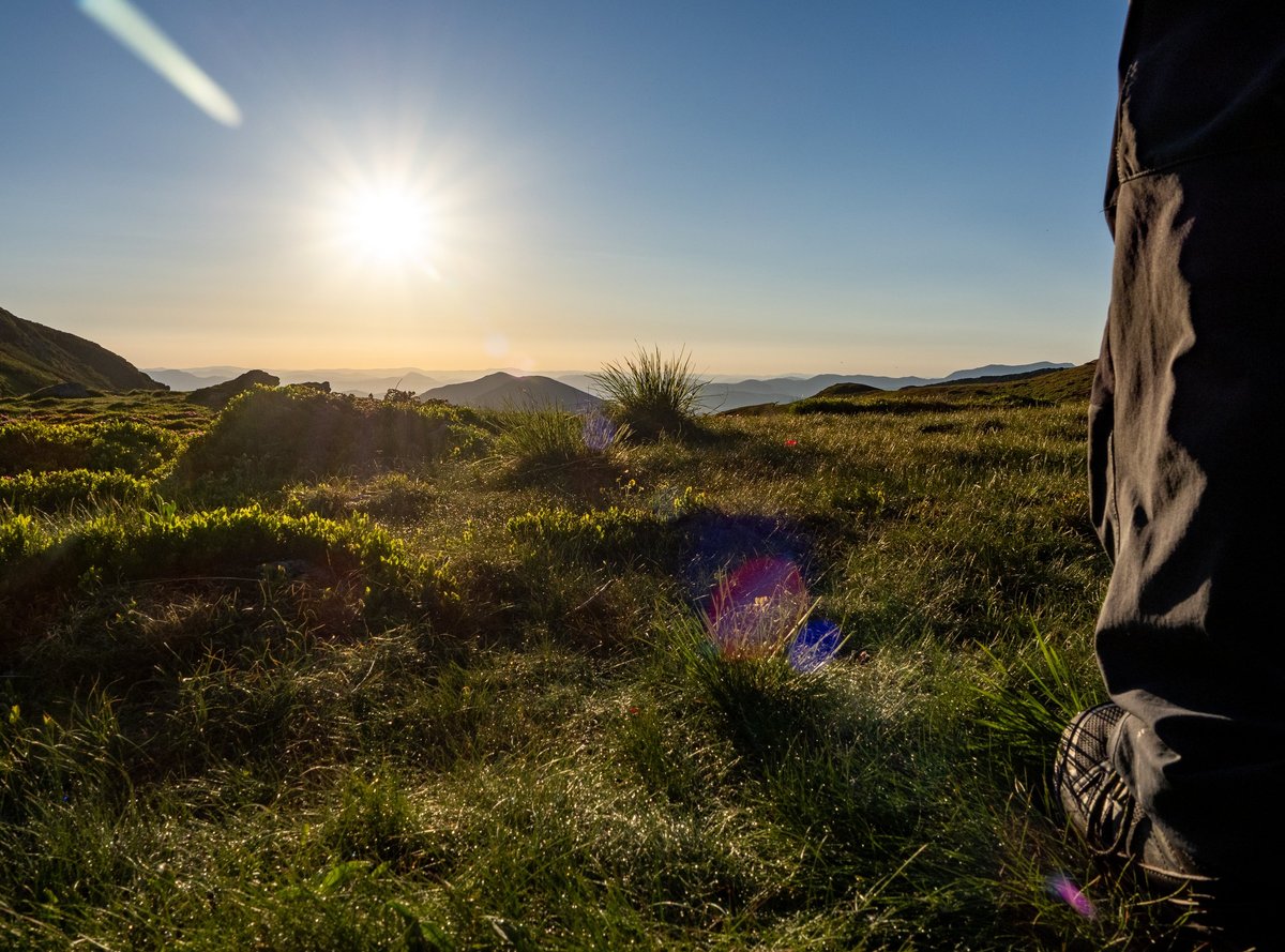 Close view of a hiker's boot on an alpine trail at sunrise