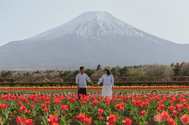 Couple holding hands in a vibrant red tulip field with Mount Fuji snow-capped peak in the background